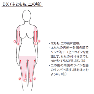 DX（ふともも、二の腕）